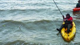 pesca (3)