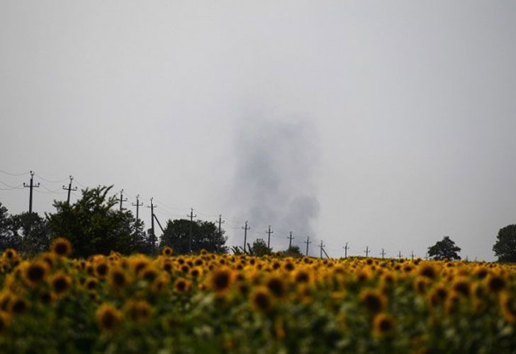 La trompa del avión se encuentra en un campo de girasoles en la localidad de Rasipnoye, mientras en Petropavlovka yace intacto un gran trozo del fuselaje sin que los expertos hayan podido aún acceder al lugar.