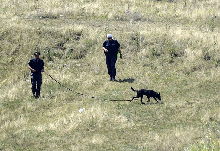 Los inspectores no pudieron finalizar el rastrillaje debido a que escucharon disparos de artillería a una distancia de unos dos kilómetros. 