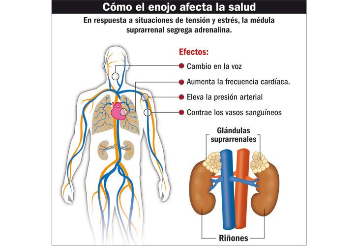 Qué efectos genera el enojo en nuestra salud.