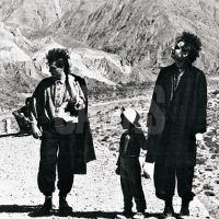 cerati