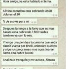 El chat