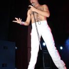 Tributo a Queen a beneficio Fundacion Huesped (13)