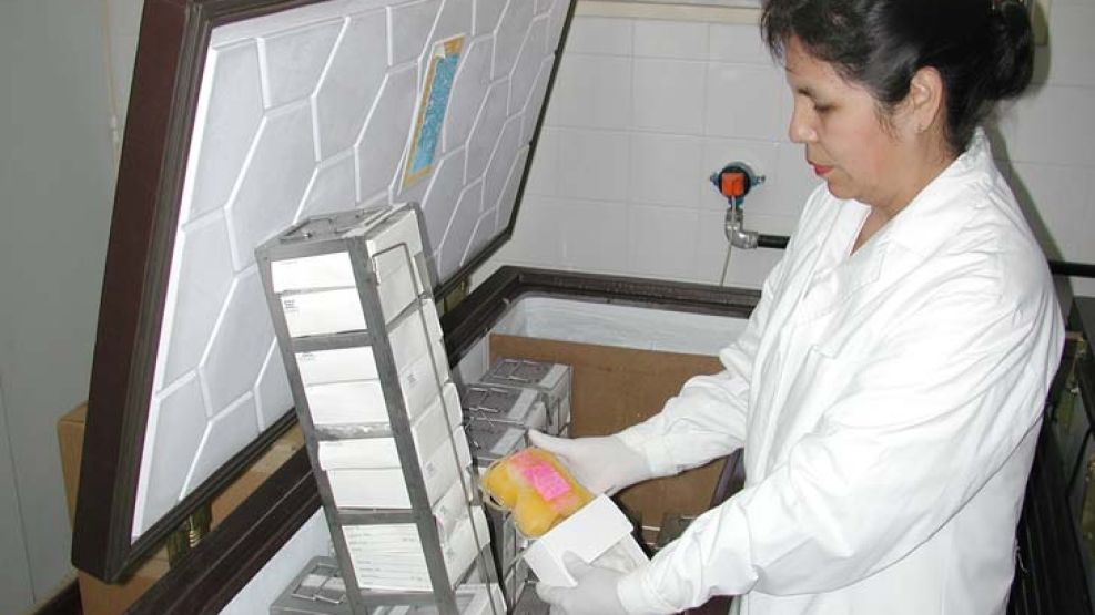Laboratorio. El banco de plasma de convalecientes que funciona en el Instituto Maiztegui. Más de cien científicos trabajan en el lugar, que es centro de referencia en fiebres hemorrágicas.