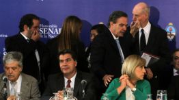 Miguel Ángel Pichetto, en un tenso saludo con los representantes del Ejecutivo Julio De Vido y Jorge Capitanich.