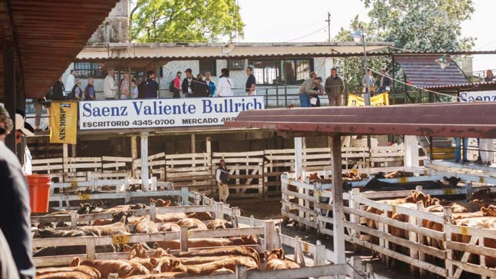 Carne 100%. Al tener menor nivel de engrasamiento se le puede “ganar” más kilos sin gordura.