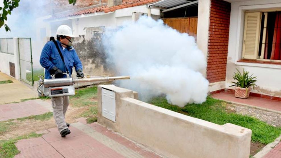 Riesgo. El dengue grave produce la mayoría de las hospitalizaciones. La fumigación busca terminar con el mosquito Aedes Aegypti.