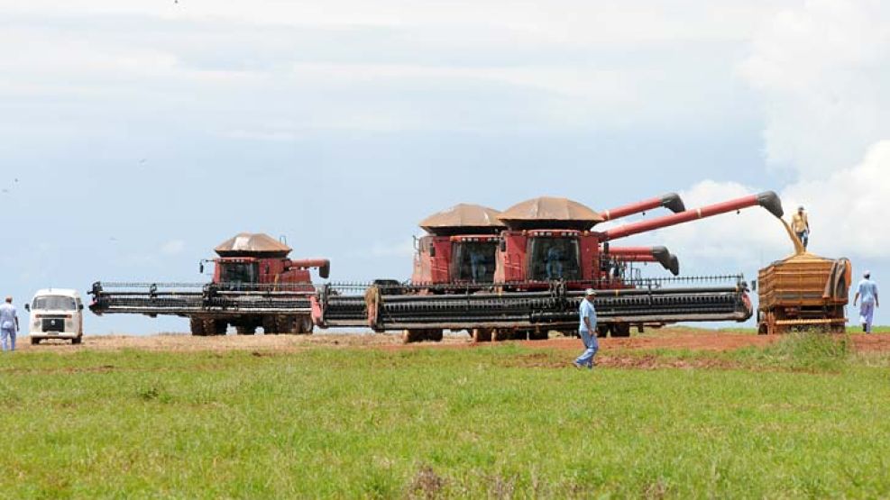 Competitividad. El productor agropecuario se destaca por su capacidad para adaptarse al cambio y adquirir nuevas tecnologías.