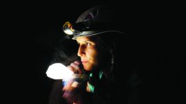 10013943_475622299232191_267744479_n