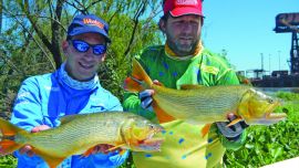 SAnnicolas nov 14 129