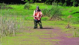 TARARIRAS CHIS CHIS-067