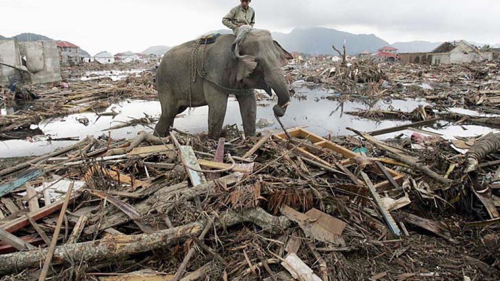 Fantasmas. Una imagen de archivo de 2004 retrata la magnitud del desastre. Ayer hubo rezos, actos de homenaje y discursos conmemorativos en Indonesia, India, Sri Lanka, Malasia, Tailandia y otras naci