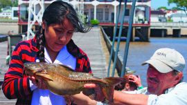 APERTURA campeonato-001