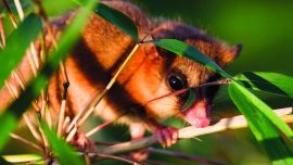 GB__4823-FN guillaume blanchard