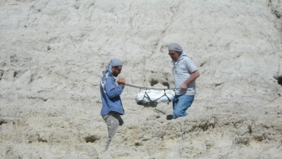 Investigacion. Se analizaron las células de plantas fósiles preservadas en la Formación Las Flores, en la provincia de Chubut.