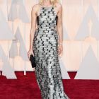 Entrega de los Oscar 2015 (22)