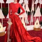 Entrega de los Oscar 2015 (8)