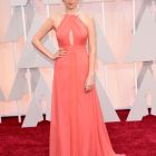 Entrega de los Oscar 2015 (9)