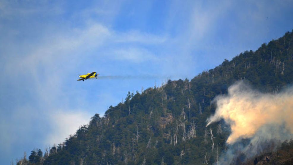 El fuego ya arrasó con unas 8500 hectáreas de bosques nativos.