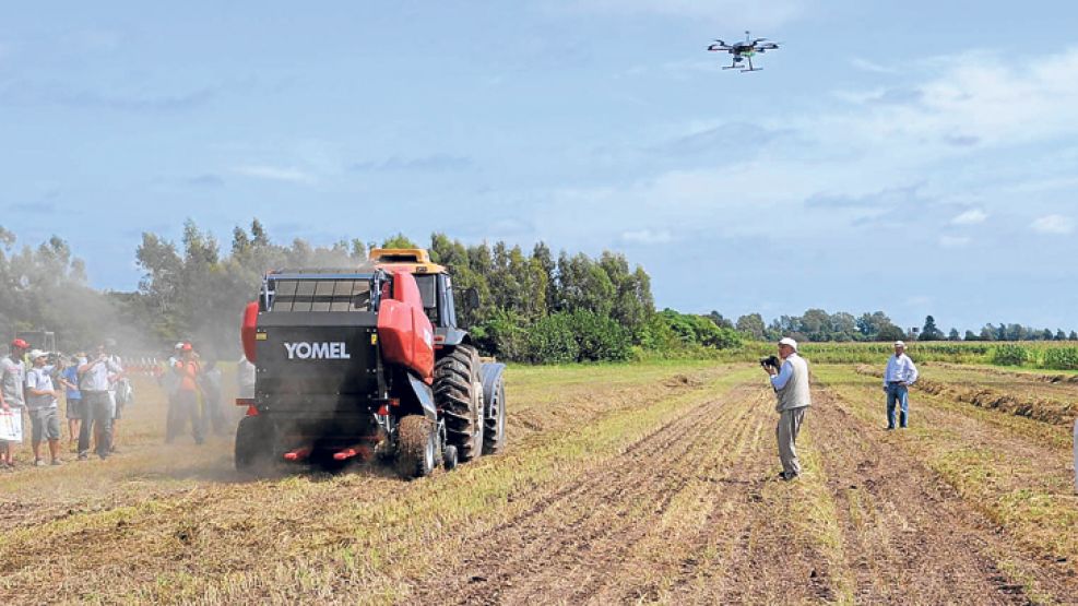 Altura. Aviones no tripulados pueden recolectar imágenes desde 600 metros y volar una hora y media.