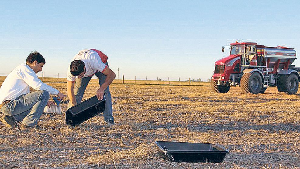 Reposicion. La fertilización de soja con fósforo ha dado hasta 2 mil kilos más por hectárea.