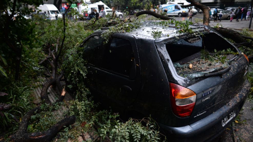 Un árbol completó cayó y quedó atravesado sobre la calle Mansilla, entre Coronel Díaz y Bulnes, en el barrio de Palermo.