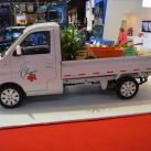 lifan-foison