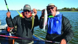 Chis Chis y Tablillas