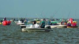 2 Fiesta Nac del Pejerrey