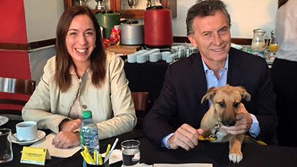 “Balcarce”, el perro conocido por ser la mascota del PRO, junto al precandidato Mauricio Macri y la vicejefa del Gobierno poreteño, Maria Eugenia Vidal.