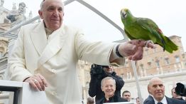 Pet friendly. En su documento, el Pontífice pidió políticas para resguardar el medio ambiente.