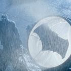 Batman vs Superman (5)