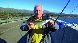 Dique Las Palmeras: el buen pejerrey puntano