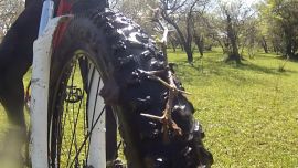 Espinas pinchaduras bike