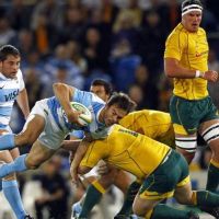 Los-Pumas