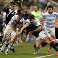 Los-Pumas