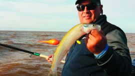 matungos rio de la plata