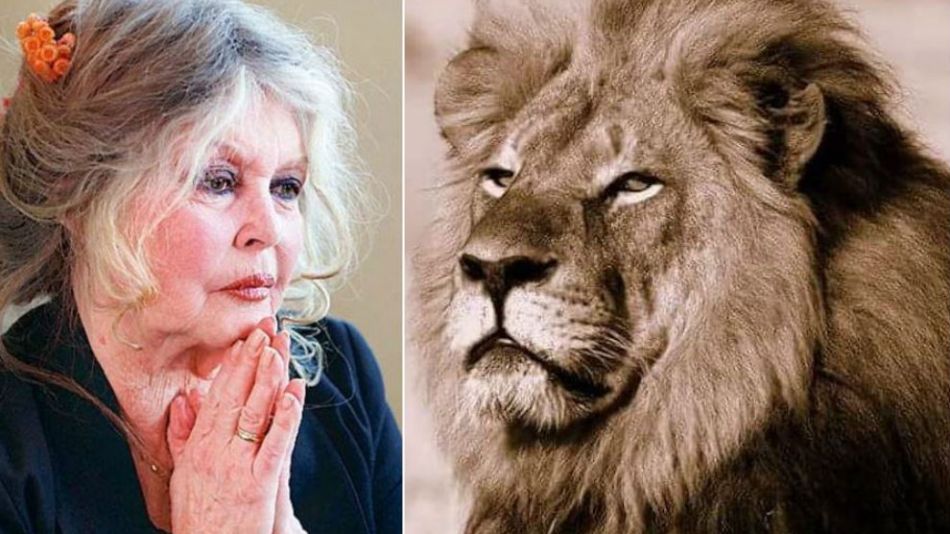 Brigitte Bardot-Cecil the lion