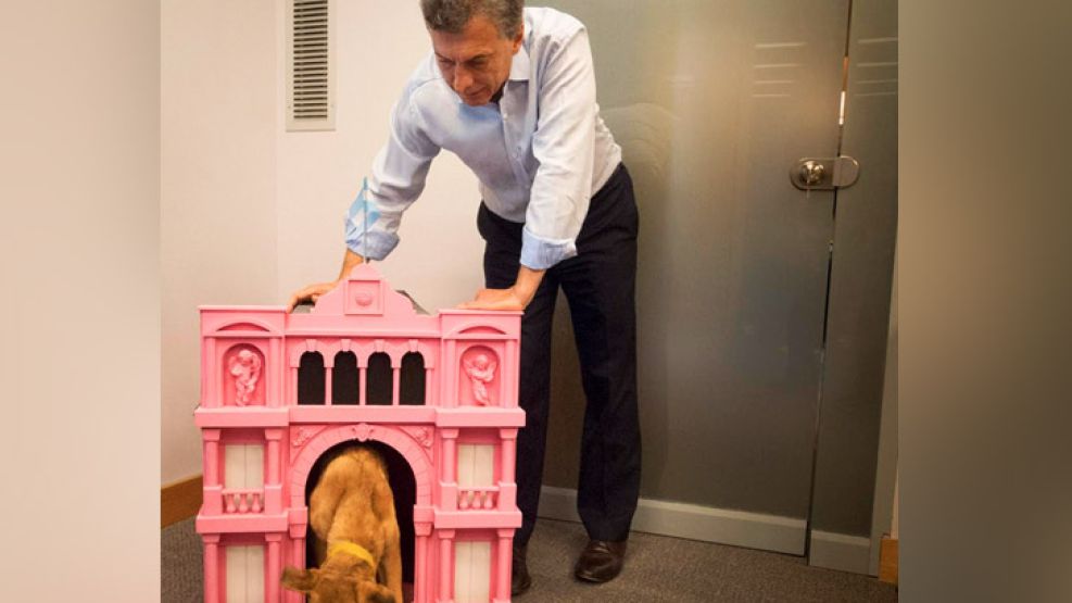 Balcarse, el perro del PRO, ahora tiene su cucha "Casa Rosada".
