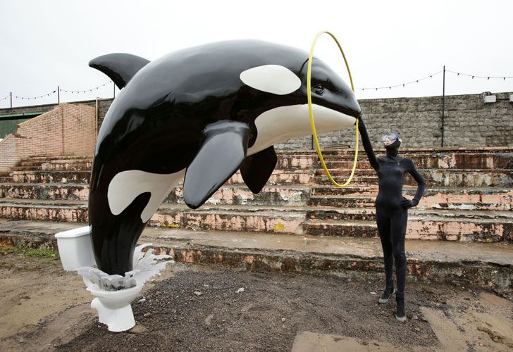 Una ballena emerge de un inodoro, ridiculizando los parques acuáticos.