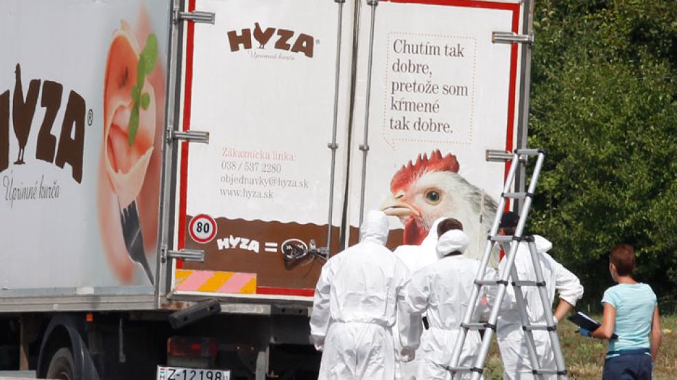 La policía de Austria descubrió hoy los cadáveres descompuestos de entre 20 y 50 migrantes.