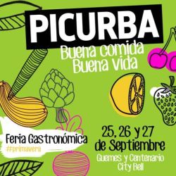 logo picurba