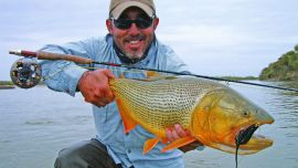 dorados_cable de acero