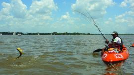 reel rotativo bajo perfil distintos (8)