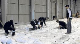 Cocaina. La droga embebida en granos de arroz fue secuestrada hace una semana en Rosario.