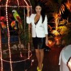 Fiesta Perfil-2
