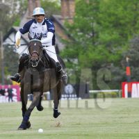 polo 1