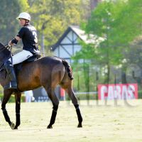 polo 2