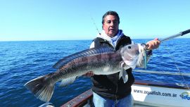 MdQ - ABBATE067