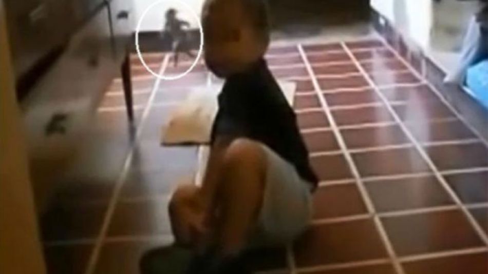 Lo más extraño es que, según la madre del niño. el duende tendría frecuente interacción con el menor, quien muchas veces habla solo.